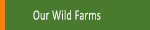 Our Amazon wild farms