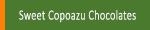Made in Amazonia sweet copoazu chocolates